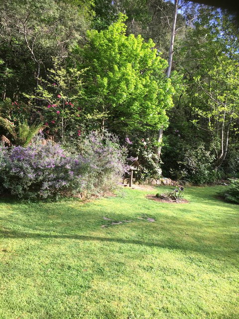 Shady Brook Cottages - Hervey Bay Accommodation 6