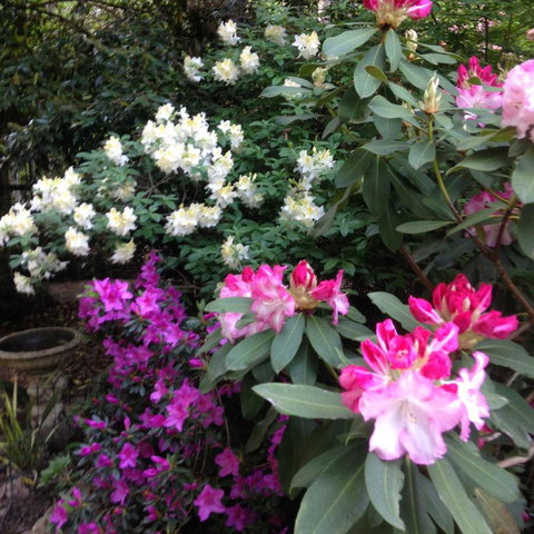 Shady Brook Cottages - Hervey Bay Accommodation 10