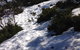 Shady Brook Cottages - thumb 11