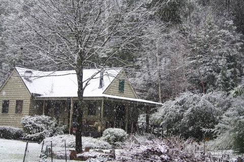 Shady Brook Cottages - Hervey Bay Accommodation 30
