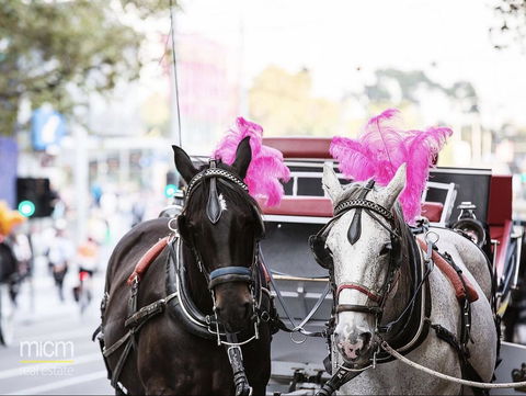 Rose Lane Serviced Apartment - Tourism Hervey Bay 16
