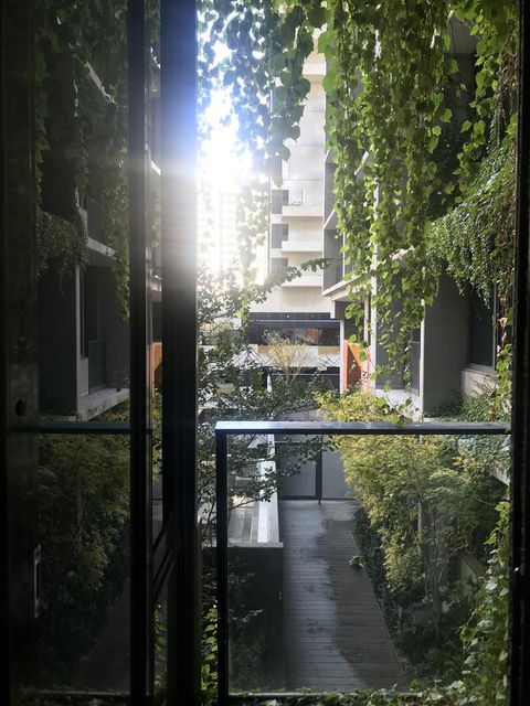 Rose Lane Serviced Apartment - Tourism Hervey Bay 7