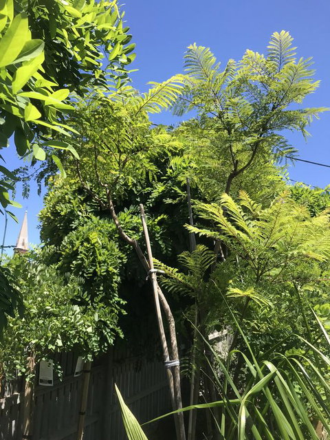 CROWN CENTRAL BUSINESS DISTRICT MOTEL - NO UNDER 18s - Hervey Bay Accommodation 12