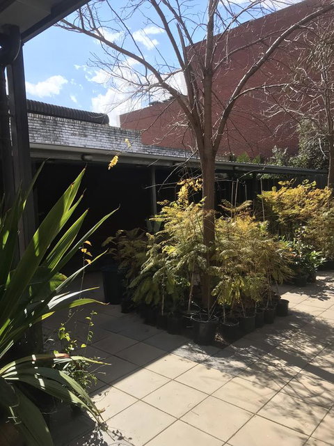 CROWN CENTRAL BUSINESS DISTRICT MOTEL - NO UNDER 18s - Hervey Bay Accommodation 15