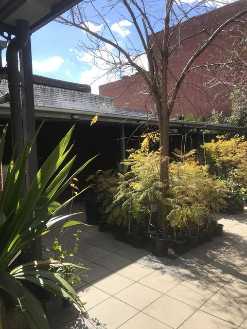 CROWN CENTRAL BUSINESS DISTRICT MOTEL - NO UNDER 18s - Hervey Bay Accommodation 21