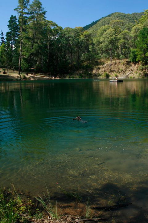 The Harrietville Snowline Hotel - Tourism Hervey Bay 38