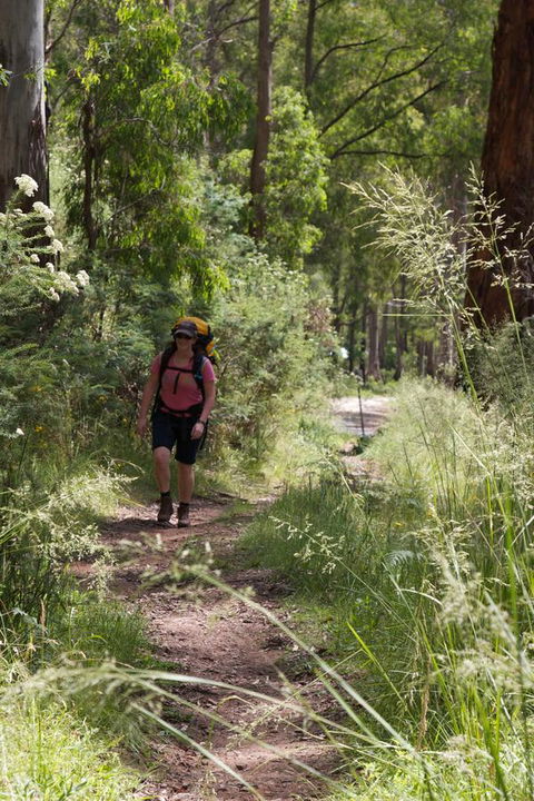 The Harrietville Snowline Hotel - Tourism Hervey Bay 11