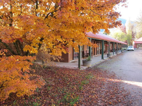 The Harrietville Snowline Hotel - Tourism Hervey Bay 21