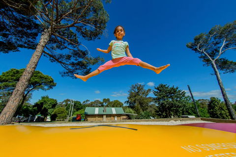 BIG4 Castlemaine Gardens - Hervey Bay Accommodation 21