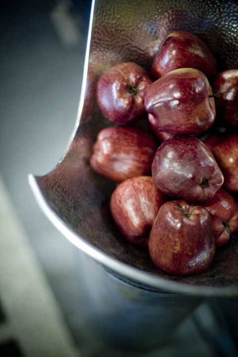 Alto Hotel On Bourke - Tourism Hervey Bay 40