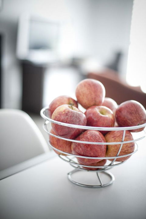 Alto Hotel On Bourke - Tourism Hervey Bay 44