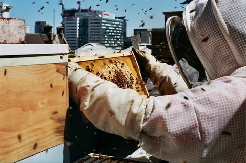 Alto Hotel On Bourke - Tourism Hervey Bay 14