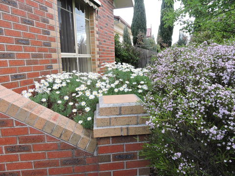 Monash And Chadstone WiFi - Hervey Bay Accommodation 3