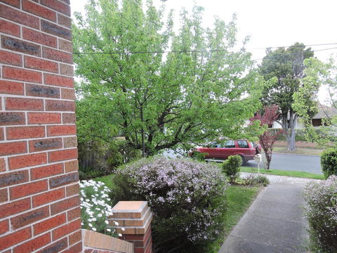 Monash And Chadstone WiFi - Hervey Bay Accommodation 2