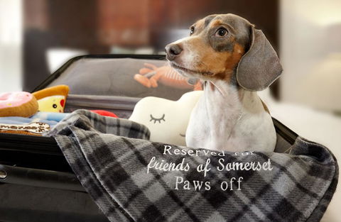 Urban Apartments Melbourne On Elizabeth - Tourism Hervey Bay 20