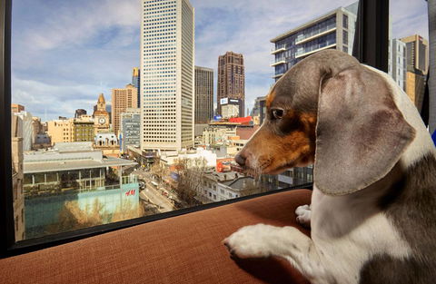 Urban Apartments Melbourne On Elizabeth - Tourism Hervey Bay 22