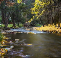 Goldfield Holiday Units - Tourism Hervey Bay