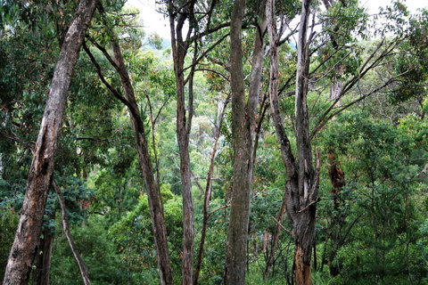 Tangenong Cottages - Hervey Bay Accommodation 9