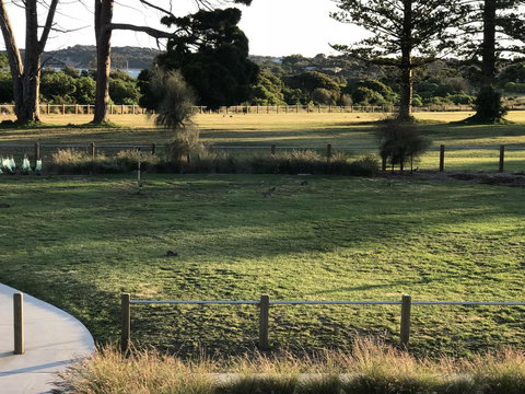 Bunya By The Sea - Hervey Bay Accommodation 3