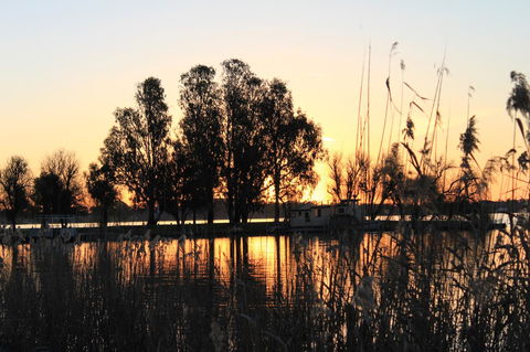 Motel Yarrawonga - Hervey Bay Accommodation 20