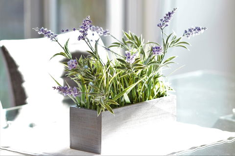 Tamara Temptation - Hervey Bay Accommodation 23