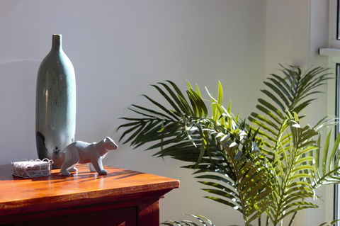 Tamara Temptation - Hervey Bay Accommodation 22