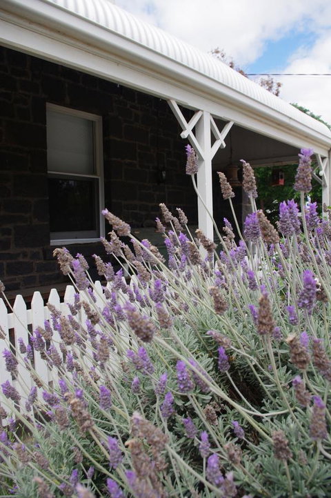 Little River Bed And Breakfast - Hervey Bay Accommodation 30