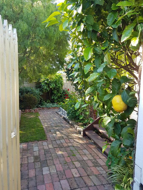 Healesville House - Fig Tree House - Hervey Bay Accommodation 17