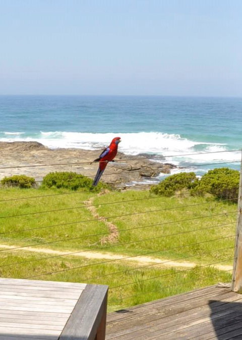 14 Steps - Hervey Bay Accommodation 15