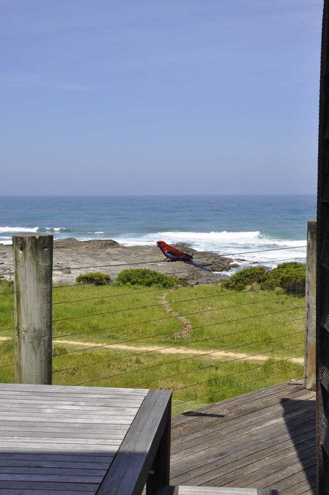 14 Steps - Hervey Bay Accommodation 14