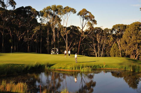 RACV Goldfields Resort - Hervey Bay Accommodation 31