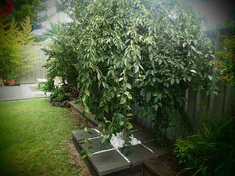 Azen Haven - Hervey Bay Accommodation 12