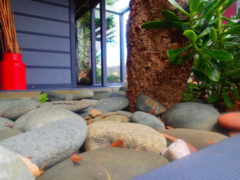 Azen Haven - Hervey Bay Accommodation 11