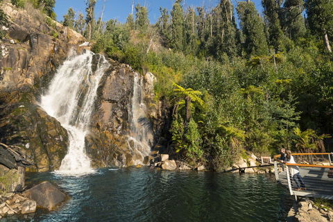Lithgow Falls Marysville - Tourism Hervey Bay 17