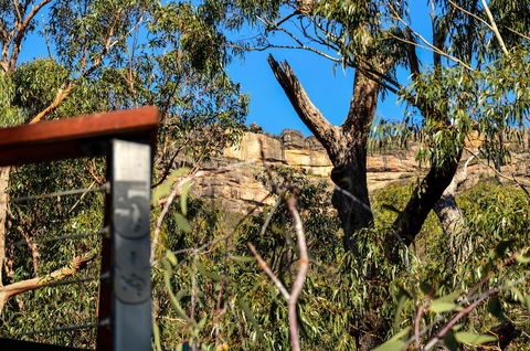 Blue Ridge Retreat - Tourism Hervey Bay 14