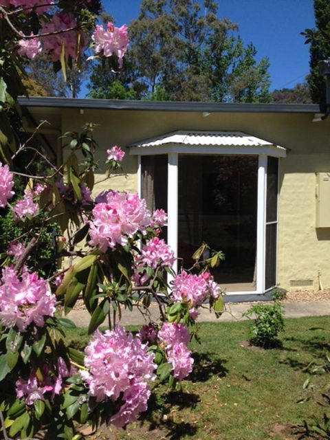 On The Banks - Tourism Hervey Bay 20