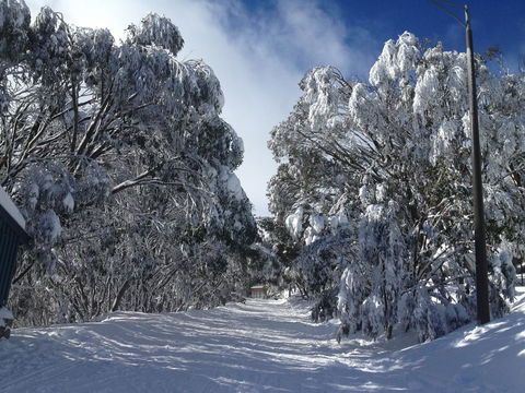Maisonettes Falls Creek - Tourism Hervey Bay 17