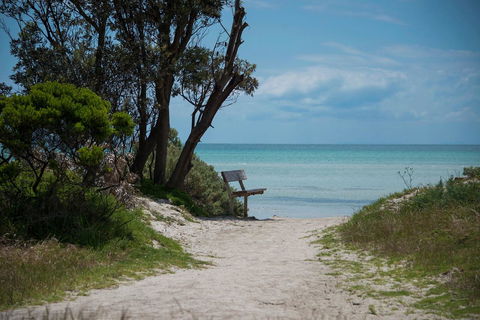 Jettycove Beach House - Hervey Bay Accommodation 26