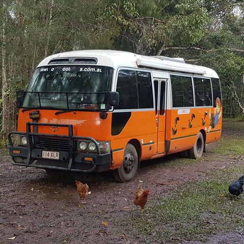 The Cabin - Hervey Bay Accommodation 3