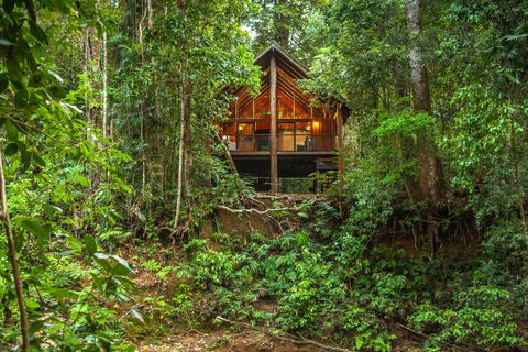 The Canopy Rainforest Treehouses & Wildlife Sanctuary - Tourism Hervey Bay 2