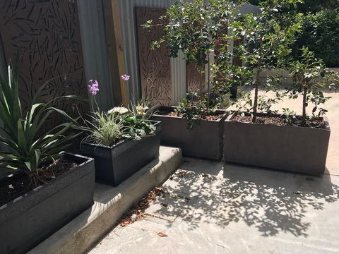 The Cottages At The 1839 - Hervey Bay Accommodation 3