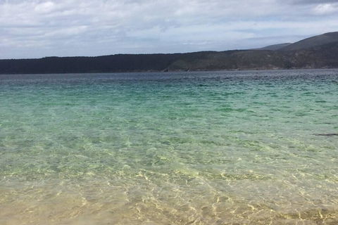 The Cove... On The Rocks At Port Arthur - Hervey Bay Accommodation 1