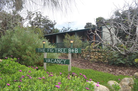 The Fig Tree B&B - Tourism Hervey Bay 0