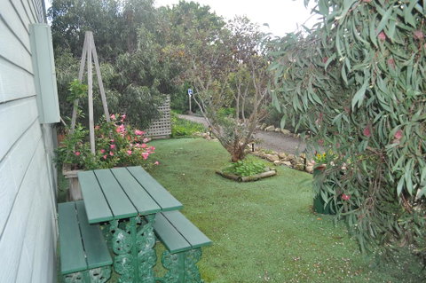 The Fig Tree B&B - Hervey Bay Accommodation 2