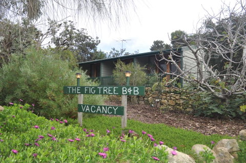 The Fig Tree B&B - Hervey Bay Accommodation 0