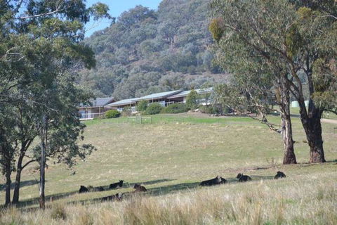The Homestead At Holmeslgen At Eildon - Tourism Hervey Bay 1