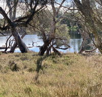 The Lake House - Hervey Bay Accommodation