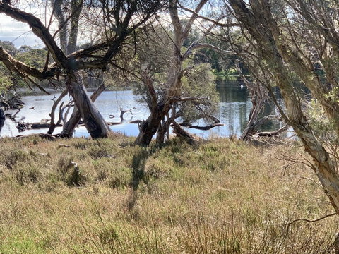 The Lake House - Hervey Bay Accommodation 0