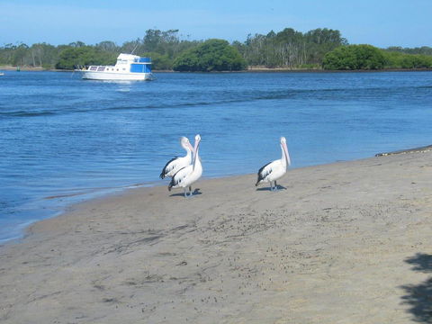 The Lakes Cottage - Hervey Bay Accommodation 1