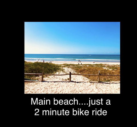 The Lazy Llama - Tourism Hervey Bay 1